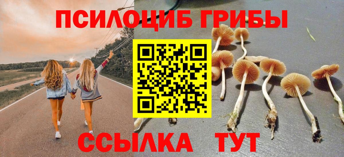 Псилоцибиновые грибы мицелий Свободный