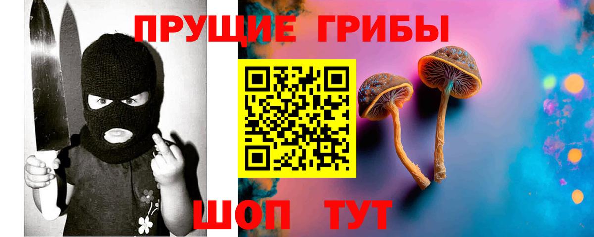 Свободный  Галлюциногенные грибы Psilocybe  Вход с VPN  где продают   Псилоцибиновые грибы прущие грибы 